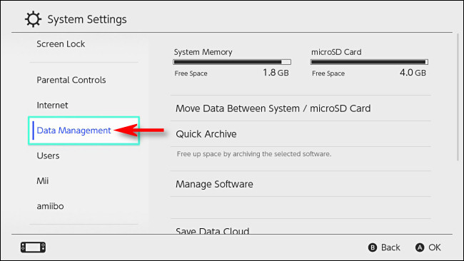 In Switch System Settings, select "Data Management."