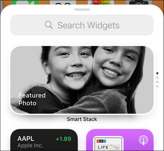 Biblioteca de widgets de iOS 14