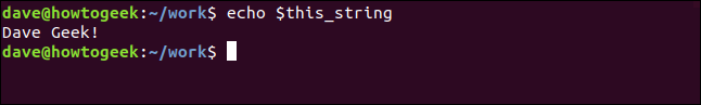 The "echo $this_string" command in a terminal window.