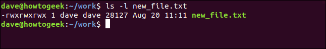 ls -l nuovo_ file.txt in una finestra di terminale