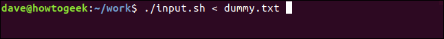 ./input.sh <dummy.txt en una ventana de terminal