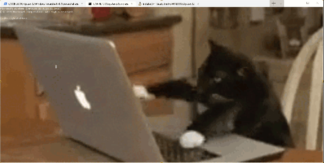 Terminal Windows z kotem piszącym na klawiaturze gif