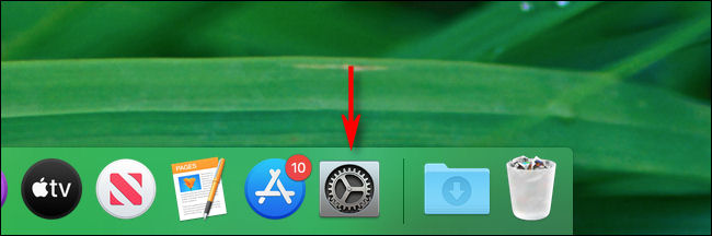 Avvia Preferenze di Sistema su un Mac facendo clic sulla sua icona nel Dock.
