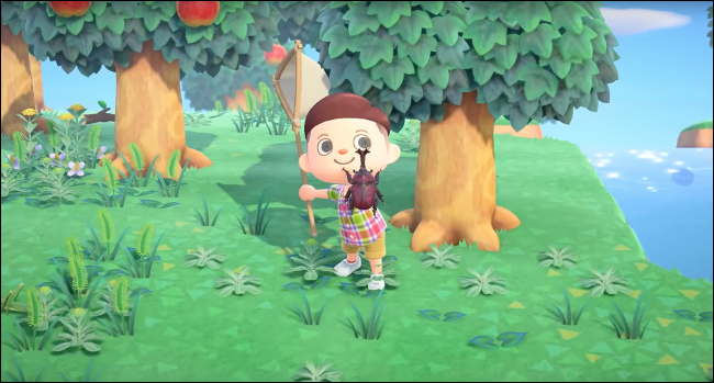 Сбор ошибок в игре Animal Crossing: New Horizons