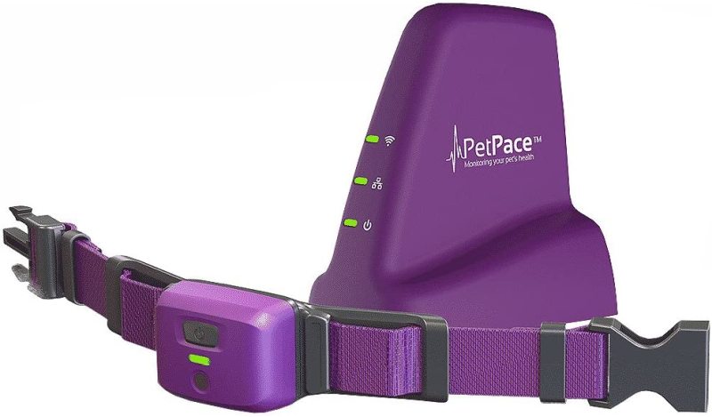 Inteligentna obroża PetPace z 12-miesięcznym monitorowaniem Pet Plus