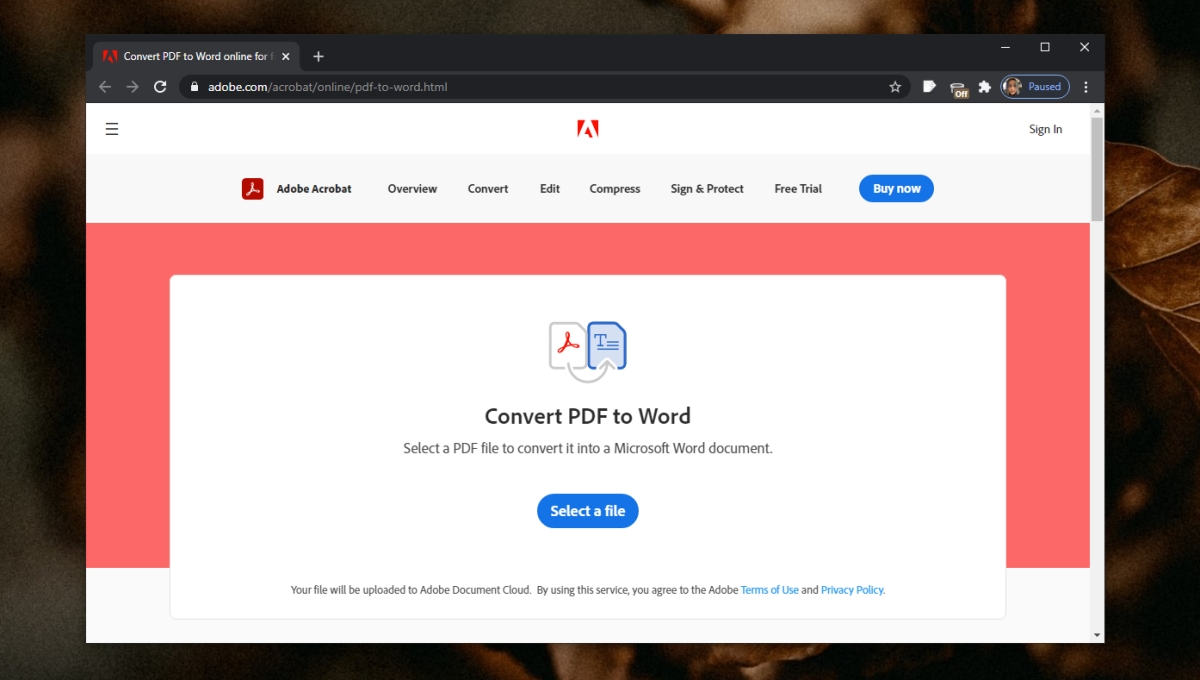 problemi di conversione del PDF in Word