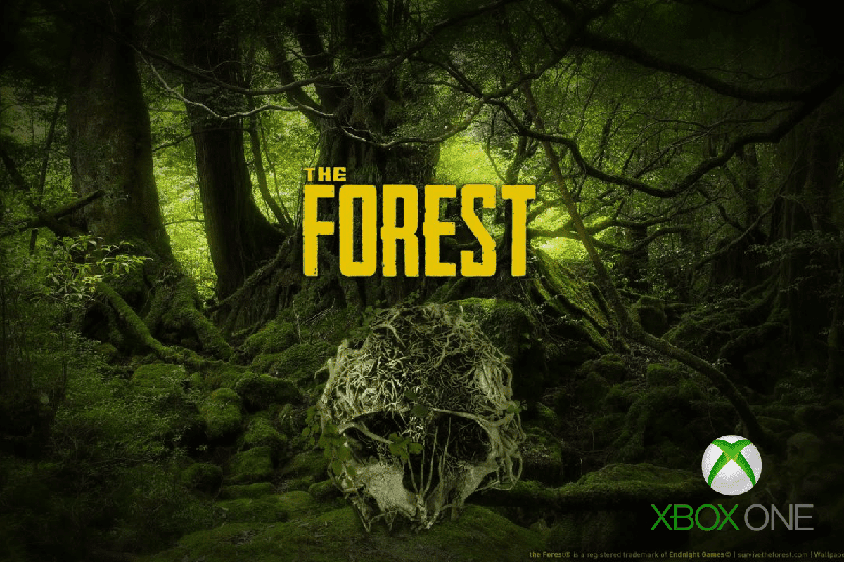 как играть вместе в the forest стим фото 96