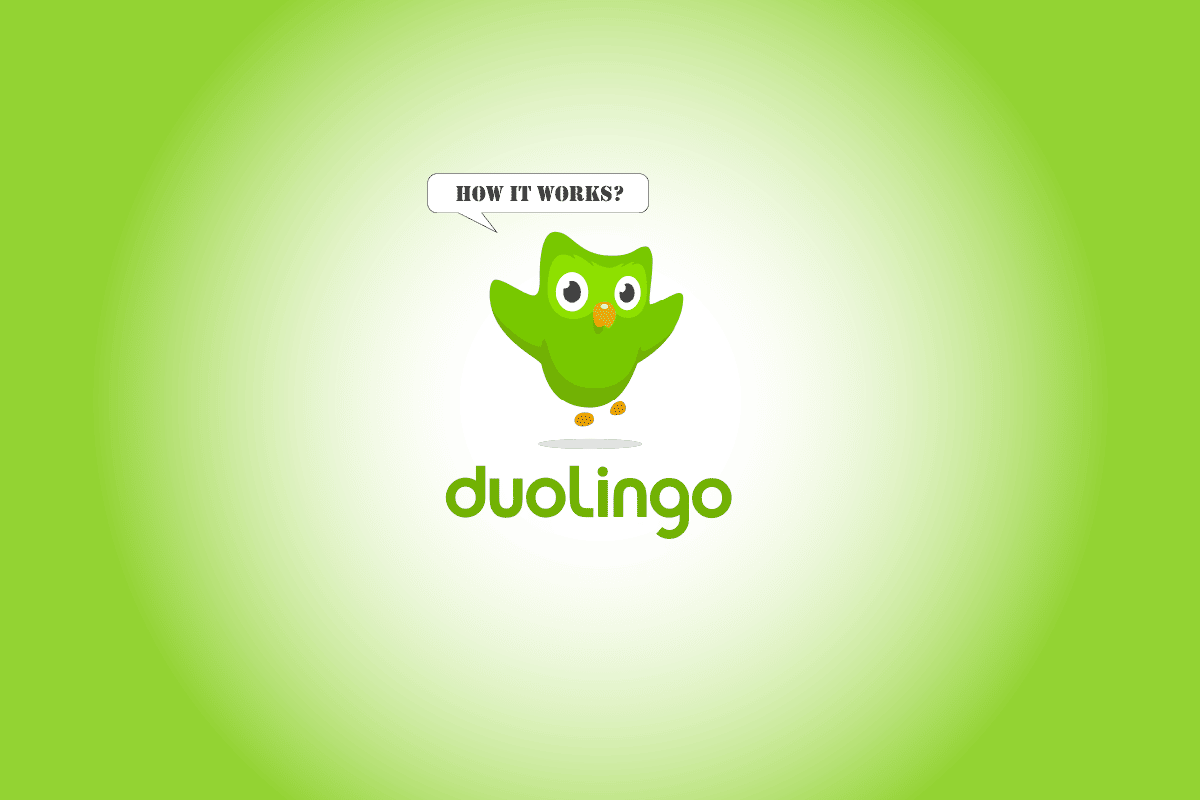 qu-est-ce-que-duolingo-et-comment-fonctionne-duolingo-trucs-et